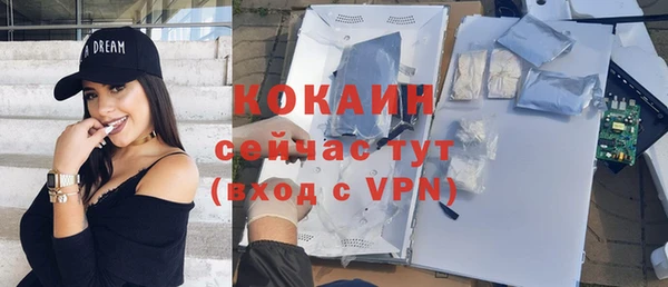 дживик Верхний Тагил
