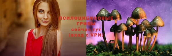 хмурый Бородино