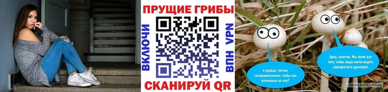 дарк нет формула  Дальнереченск  Галлюциногенные грибы ЛСД 